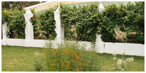 Villa la Pensionne Guest House Gallery - Garden