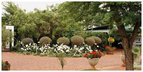 Villa la Pensionne Guest House Gallery - Garden