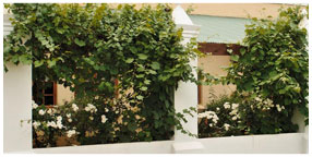 Villa la Pensionne Guest House Gallery - Garden