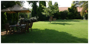 Villa la Pensionne Guest House Gallery - Garden