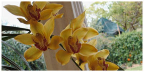 Villa la Pensionne Guest House Gallery - Miscellaneous